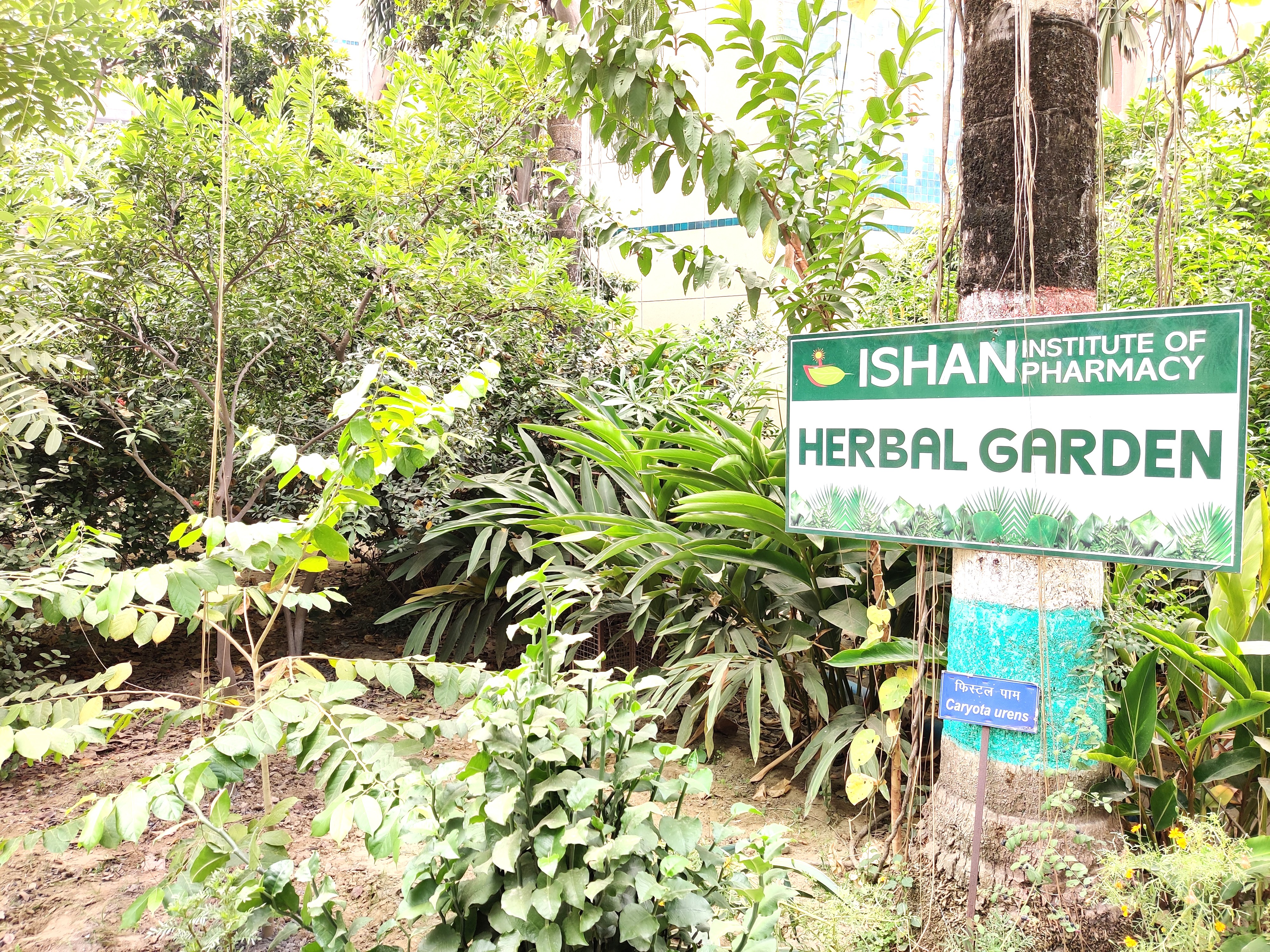 The Herbal Garden - photo 2